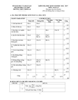 Đề 9: Đề thi HK2 Toán 11 năm học 2016 - 2017 trường THPT Thới Lai - Cần Thơ