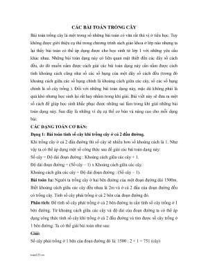 Toán 5 - Bài toán trồng cây