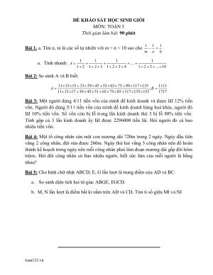Toán 5 - Các đề khảo sát học sinh giỏi