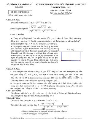 Đề thi học sinh giỏi Toán 10 năm học 2018 – 2019 sở GD_ĐT Hà Tĩnh